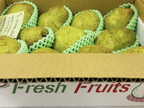 【限定５箱】食べ頃出荷‼️山形特産ラフランス【大玉2キロ満杯詰】