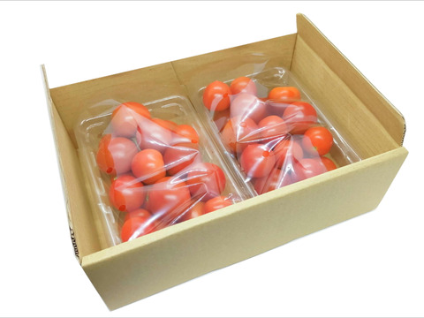 【お徳用無選別】《超おいしい》甘みの強いフルーツミニトマト（800g）簡易包装　ギフト包装不可