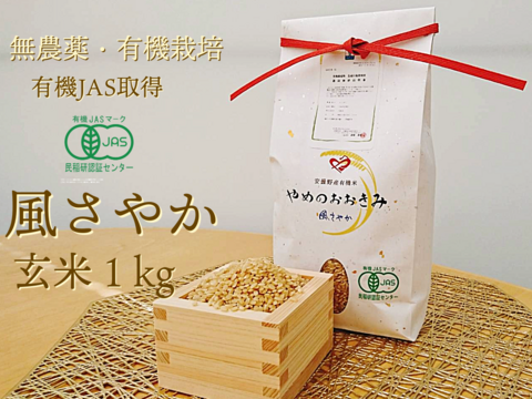 令和7年産 新米先行受付】さがびより 玄米 10kg【3ヶ月定期便
