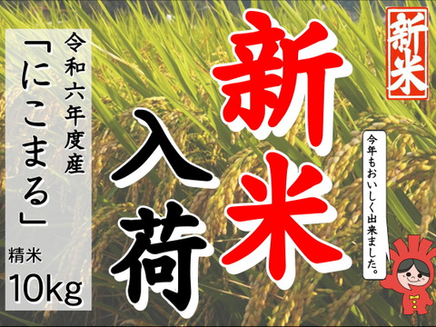 新米！もちもちの弾力！令和6年産「にこまる」10㎏(精米５㎏×2袋）