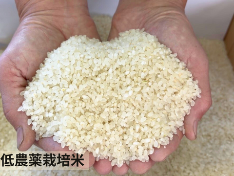 【令和７年産】低農薬栽培米　コシヒカリ　白米　3kg