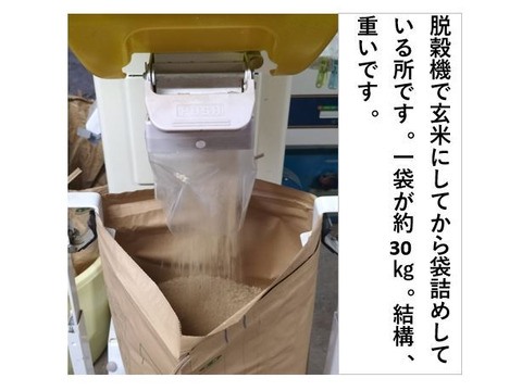 あきたこまち 25kg あきたこまち 米 お米 25kg （5kg×5袋） 秋田県産 白米 精米