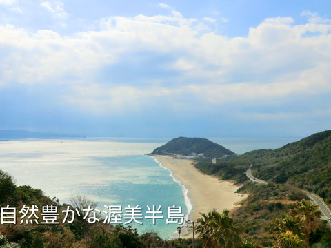 ♦訳ありでお得８%off♦見た目より味で勝負！出汁を与えた超濃厚ミニトマト　農カード付　2.0kg　出汁推し実