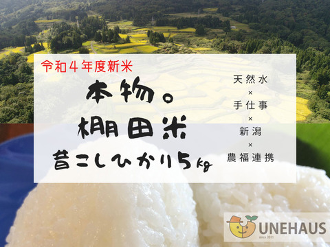 本物。棚田米　昔こしひかり令和4年度産　5ｋｇ　美味い米の新潟県一之貝産