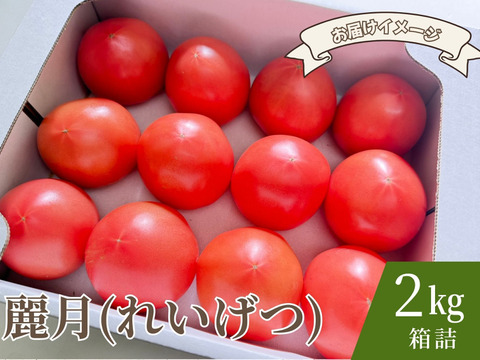 【糖度7度以上】春のご褒美トマト「麗月」2K箱