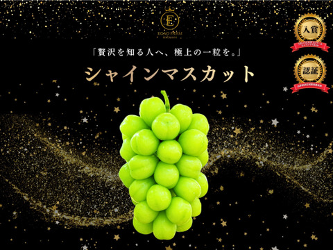 予約販売【長野県主催品評会受賞農園】シャインマスカット２kg以上