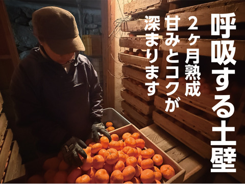 今が食べ頃♫　勝浦産 貯蔵みかん（ご家庭用）10kg｜徳島県勝浦町