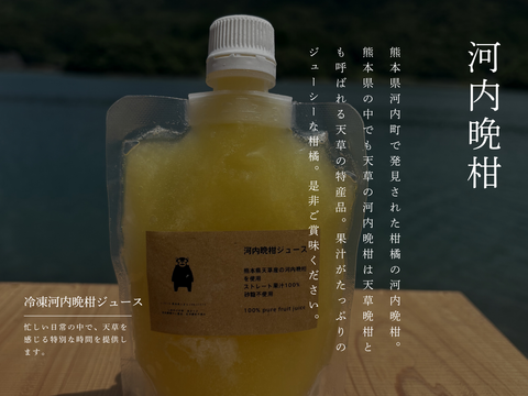 夏ギフト】飲み比べ！冷凍甘夏みかんジュース3本・冷凍河内晩柑