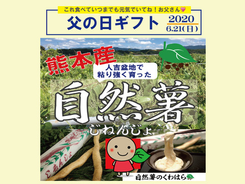 【父の日ギフト予約受付用】熊本産!くわはら農園の自然薯カット物1kg前後 レシピ付き!