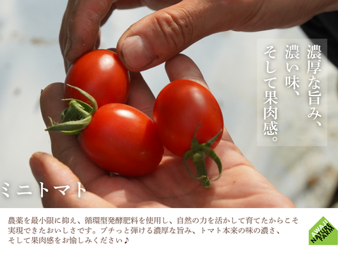 【淡路島産】冬ギフト_旬の冬野菜セット！ 6~7種詰め合わせ