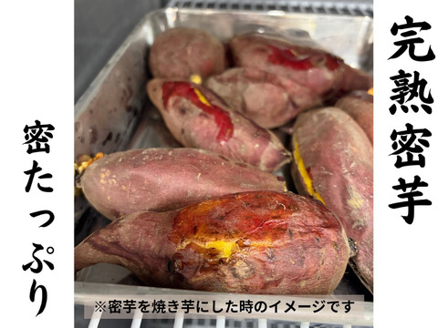 ねっとり熟成密芋！！約２ヵ月以上追熟済み！シルクスウィート（約10kg）