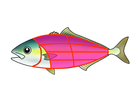 お腹いっぱい 獅子島産ブリ 養殖 お刺身用 腹身 背中 8パック 鹿児島県産の魚 食べチョク 産地直送 産直 お取り寄せ通販 農家 漁師から旬の食材を直送