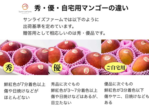 【夏ギフト】【順次発送中】サンライズファームのアップルマンゴー 【秀品】【1kg】【熨斗対応可】