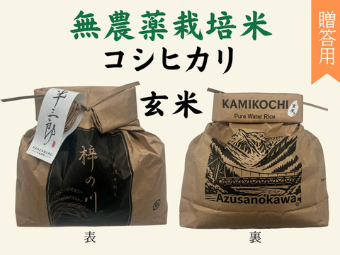 【令和７年産】栽培期間中農薬不使用　コシヒカリ　玄米　3kg　贈答用