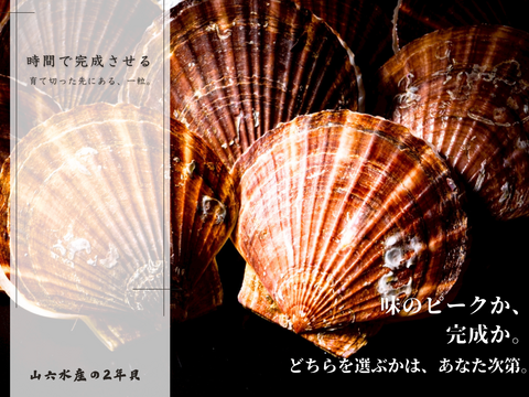 《数量限定20件!!》山六水産の２年貝【３kg】ヘラ付