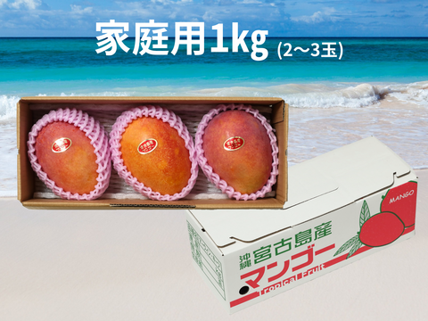 【家庭用】宮古島産完熟マンゴー1㎏(2～3玉)