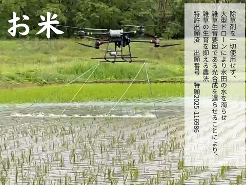 【令和７年産】低農薬栽培米　コシヒカリ　白米　3kg　贈答用