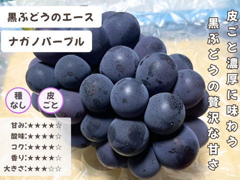 お盆シーズンにお届け可能　シャインマスカット入り　『岡山県産ぶどう』　おまかせ3種食べ比べセット　1.5キロ以上