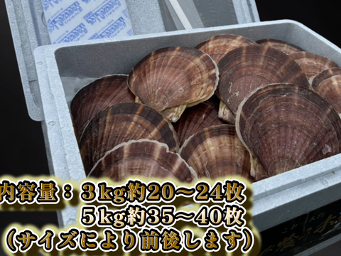 《数量限定20件!!》山六水産の２年貝【5kg】ヘラ付