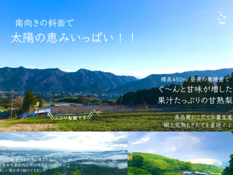 『幻の梨』【新水3kg】上品な香りと芳醇な甘さ  希少品種ファン急増中！！園主イチオシ　 3日間のみ限定出荷　7~10玉   　【夏ギフト】【贈答用】