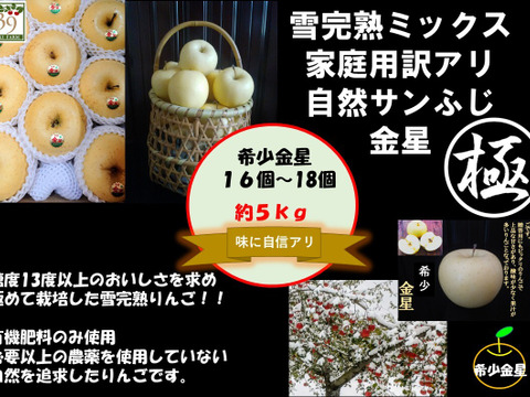 青森りんご  大人気　「希少 」
鮮度良し！！果汁タップリ！！高評価の為　
味に自信アリ！！
 （極み希少金星）
5kg16個〜18個入