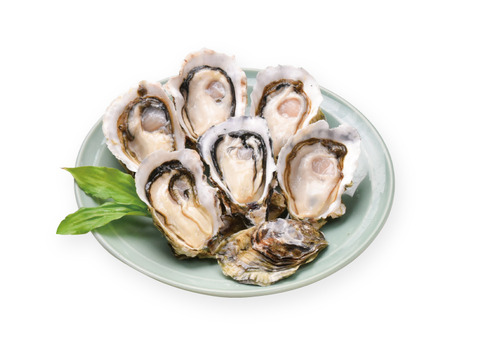 広島県産 夏季限定 生食用 殻付かき「かき小町」ハーフシェル 6個入｜大粒で身入り抜群 夏でも安心の広島ブランド牡蠣【かなわ】