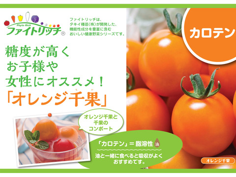 【ファイトリッチ】オレンジ千果ミニトマト500g：ギフトメッセージ対応