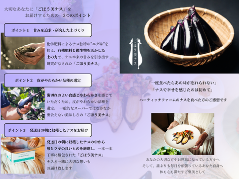 【ゲン担ぎ福袋】”一富士二鷹三なすび” ノベルティグッズ付き「ごほう美ナス」（約1kg）