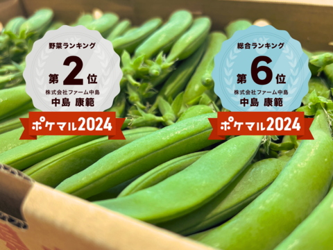 旬の贅沢野菜セット❗️【フラガールミニトマト×スジナインスナップ×ブロッコリー】Sサイズ