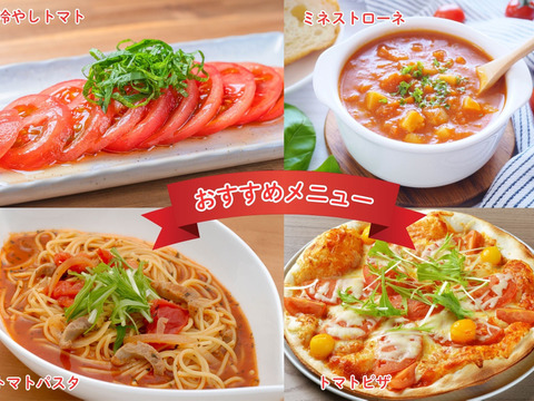 【糖度8.5度以上】極甘スーパー麗月1ｋｇ