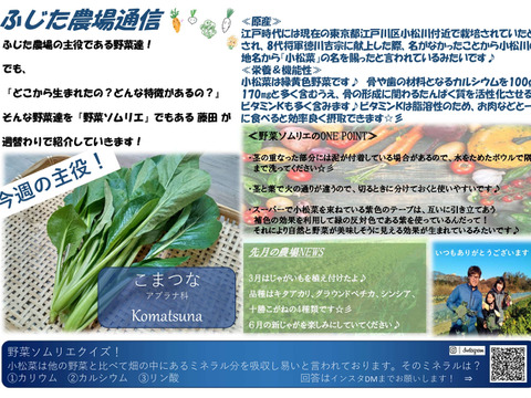 季節の野菜セット『採れTakara☆彡』11品前後