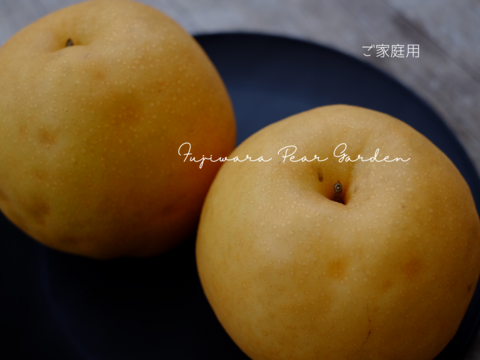 【新高】【ご家庭用3kg】ガシッとワイルド☆しっかり甘い＊食べ応えも大満足＊男性に人気！！庄内甘熟梨【おためし品】