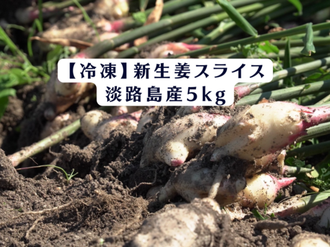 新生姜　箱込み8kg  減農薬栽培　鹿児島産 減農薬栽培 熊本県産新生姜1kg 親生姜1kg｜Yahoo!フリマ（旧