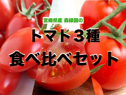 宮崎県産　トマト３種食べ比べセット２kg
