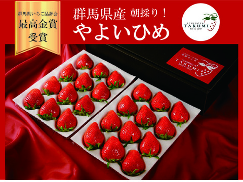 【即日発送×減農薬】宮崎の甘熟冷凍いちご 9kg やよいひめ ふわっサクッ食感♪【急速冷凍いちご】群馬やよいひめ｜いちごの