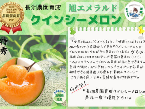 果汁たっぷり！茨城県旭村産クインシーメロン（赤肉）【特秀】2玉