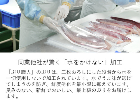 【鹿児島産ぶり】700g以上 冷凍・ぶり皮無ロイン（背腹計2ｐ）