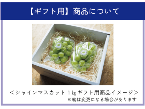【ギフト】岡山県産シャインマスカット1.2㎏以上