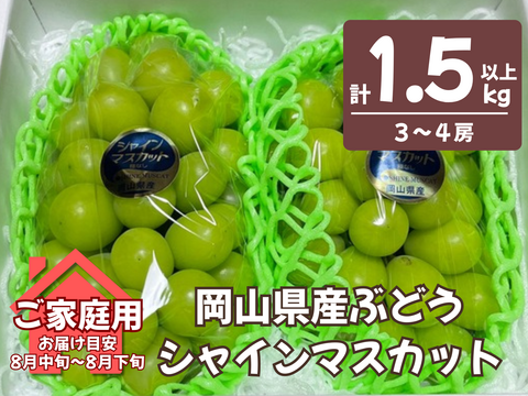 お盆シーズンの贈り物に！『岡山県産ぶどう』シャインマスカット 1.5キロ以上お入れ致します
