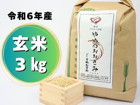 平日朝8時までの注文で当日出荷【期間限定20％オフ】令和6年