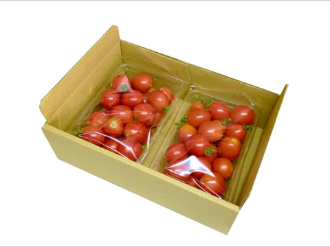 【お徳用無選別】《超おいしい》甘みの強いフルーツミニトマト（800g）簡易包装　ギフト包装不可