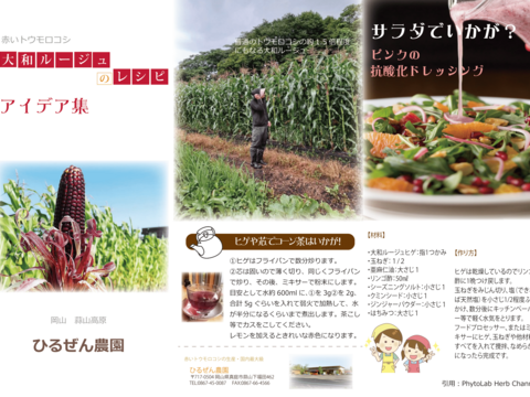 【夏ギフト】赤い トウモロコシ  6本入り　(大和ルージュ　赤 スイートコーン ) 農家 直売 岡山 ひるぜん農園 参考レシピ冊子付き AKA_6
