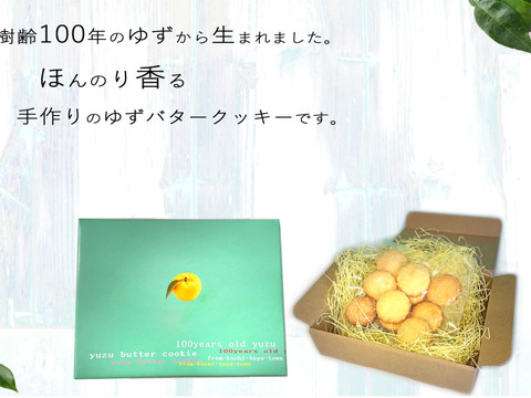 【夏ギフト】活〆伊勢海老 　500g前後（1～3尾）＆プレゼントクッキー！