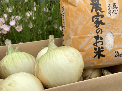 【朝市限定】【淡路島　和田農園】予約販売！大人気淡路島玉ねぎ3kgと特別栽培のお米2kg