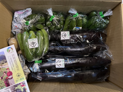 【限定１０セット　　２０％増量】
通常１Ｋｇ入りを１.２ｋｇ(２０％増量）　価格据置き１０００円
品種はふわトロ長ナス　焼いても炒めてもトロトロナスです。