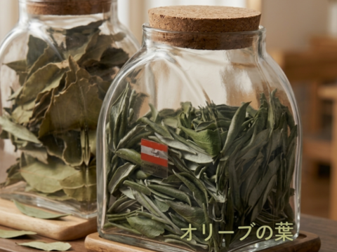 オリーブ生葉300枚 オリーブリーフ🌿オーガンジー袋入り🌿葉っぱ部のみ🌿高い抗酸化、抗菌作用「オレウロペイン」免疫力向上生活習慣病の予防や美肌に☆クッキー、ケーキ、オリーブ茶作り等に☆自然栽培