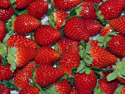 ジューシーな和歌山のオリジナルいちご　❝まりひめ❞　2パック