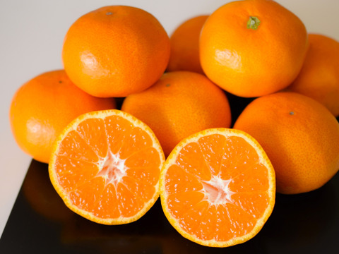 手むき　究極のみかんジュース【２本セット】　無添加100％