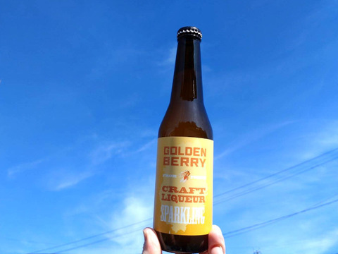 【夏ギフト】シュワっとすっきり😆爽やかなゴールデンベリークラフト炭酸リキュール 330ml×6本入り