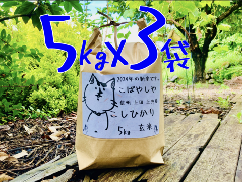 25年度産新米!!　信州上田産コシヒカリ玄米5kgx3袋 おむすび お弁当に!!　 25年度産新米!! 令和7年 農家直送